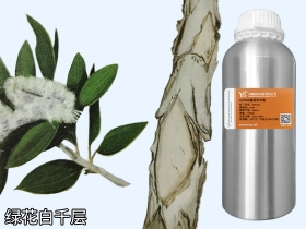 YS綠花白千層油 | 是皮膚與粘膜的守護(hù)神，還能制作漱口水，你知道嗎？