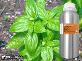 YS熱帶羅勒油 | 帶八角香氣的香水常用原料，也是消炎止痛抑菌能手