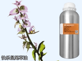 YS快樂(lè)鼠尾草油 | 如果能說(shuō)話(huà)，它的口頭禪一定是“做人，最重要是開(kāi)心”